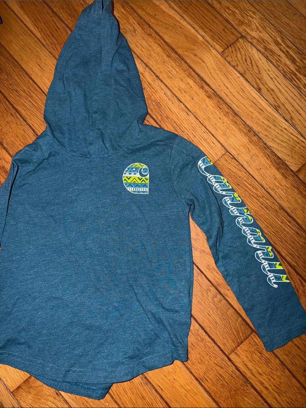 Carhartt Teal Hooded Kids Long-Sleeve Top with Graphic Sleeve